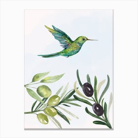 Hummingbird With Olives Canvas Print