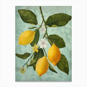 Lemons On A Branch 10 Canvas Print