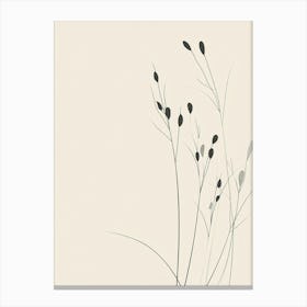 Grasses 3 Canvas Print