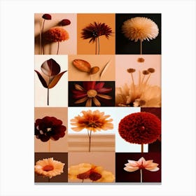 Autumn Flowers, Autumn Collection Canvas Print