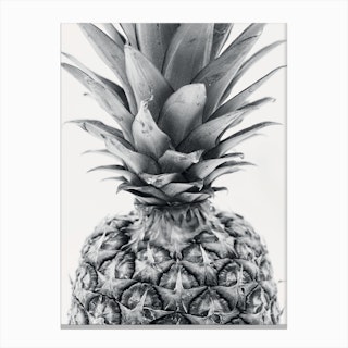 Realistic Pineapple Canvas Print