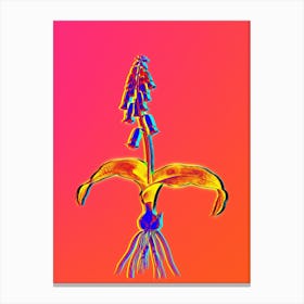 Neon Watsonia Botanical in Hot Pink and Electric Blue n.0349 Canvas Print