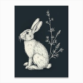 American Sable Rabbit Minimalist Illustration 1 Canvas Print