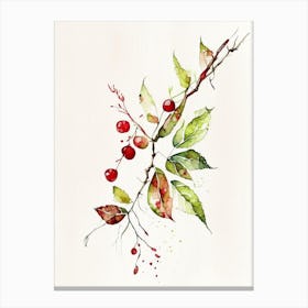 Wild Cherry Bark Herb Minimalist Watercolour 2 Canvas Print