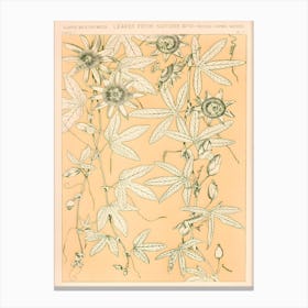 Vintage Pattern by Owen Jones (c1900) Canvas Print