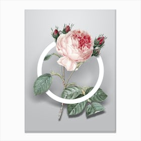 Vintage Centifolia Roses Minimalist Floral Geometric Circle on Soft Gray n.0029 Canvas Print
