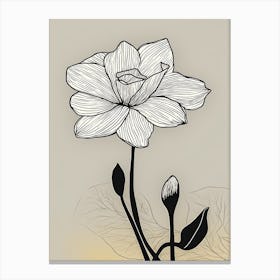 Daffodils Line Art Flowers Illustration Neutral 10 Canvas Print