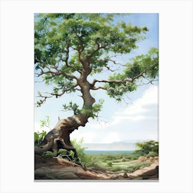 Tree Of Life 78 Canvas Print