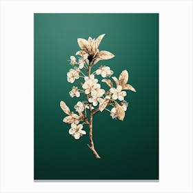 Gold Botanical White Plum Flower on Dark Spring Green n.4742 Canvas Print