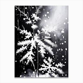 Nature, Snowflakes, Black & White 3 Canvas Print