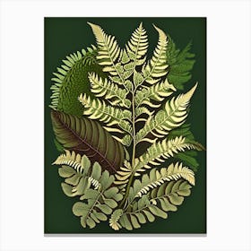 Japanese Painted Fern Vintage Botanical Poster Canvas Print