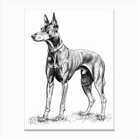 German Pinscher Dog Line Art 3 Canvas Print