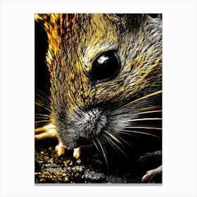 Mouse On The Ground Canvas Print