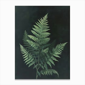 Hares Foot Fern Painting 3 Canvas Print