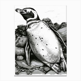 King Penguin Sunbathing On Rocks 3 Canvas Print