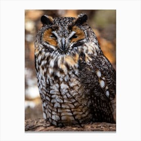 Owl In The Woods Canvas Print