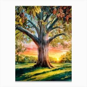 Sunset Tree 3 Canvas Print