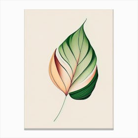 Tulip Leaf Warm Tones 4 Canvas Print