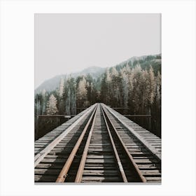 Forest Train Tracks Canvas Print
