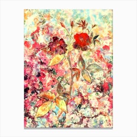 Impressionist Hudson Rosehip Botanical Painting in Blush Pink and Gold n.0032 Canvas Print