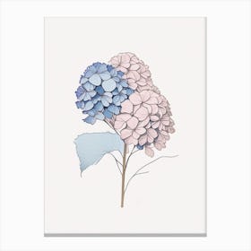 Hydrangea Floral Minimal Line Drawing 1 Flower Canvas Print