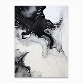 Black And White Flow Asbtract Painting 4 Canvas Print
