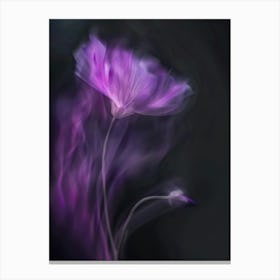 Purple Poppy Canvas Print