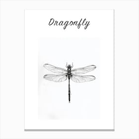 B&W Dragonfly Poster Canvas Print