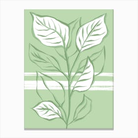 Big Green Plant Canvas Print