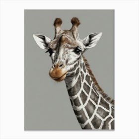 Giraffe Canvas Print 10 Canvas Print