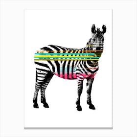 Zebra Barcode Canvas Print