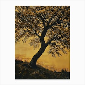 Lone Tree At Sunset 3 Canvas Print