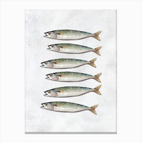 Mackerel Kitchen Print Leinwandbild