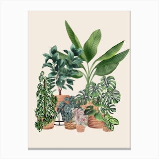 Plant Friends Canvas Print