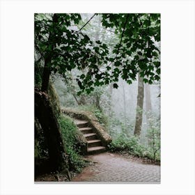 Stairways into the wood, Sintra Canvas Print
