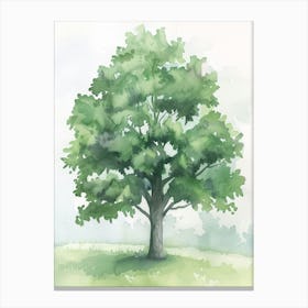 Walnut Tree Atmospheric Watercolour Painting 2 Canvas Print