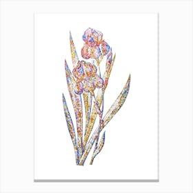 Stained Glass German Iris Mosaic Botanical Illustration on White n.0275 Canvas Print