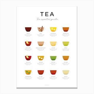 Tea Guide Minimal Canvas Print