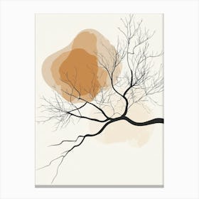 Bare Branches Canvas Print