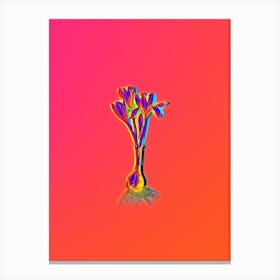 Neon Autumn Crocus Botanical in Hot Pink and Electric Blue n.0072 Canvas Print