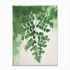 Green Ink Painting Of A Southern Maidenhair Fern 2 Canvas Print