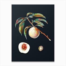 Vintage White Speckled Peach Botanical Watercolor Illustration on Dark Teal Blue n.0272 Canvas Print