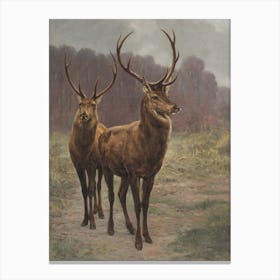 Forest Monarchs Deer Wall Art Prints Canvas Print