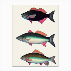 Halibut Vintage Poster Canvas Print