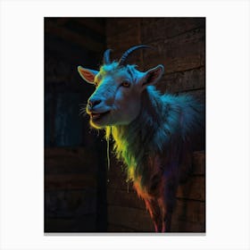 Goat In The Dark Canvas Print