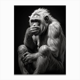 Photorealistic Thinker Monkey 3 Canvas Print
