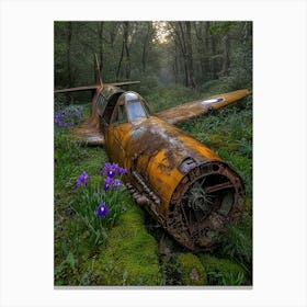 Abandoned Plane In The Forest Canvas Print