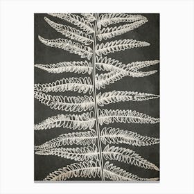 Fern Leaf Botanical 2 Canvas Print