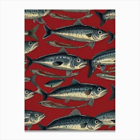 Sardines 1 Canvas Print