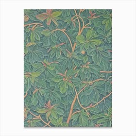 Chinkapin Oak 2 tree Vintage Botanical Canvas Print
